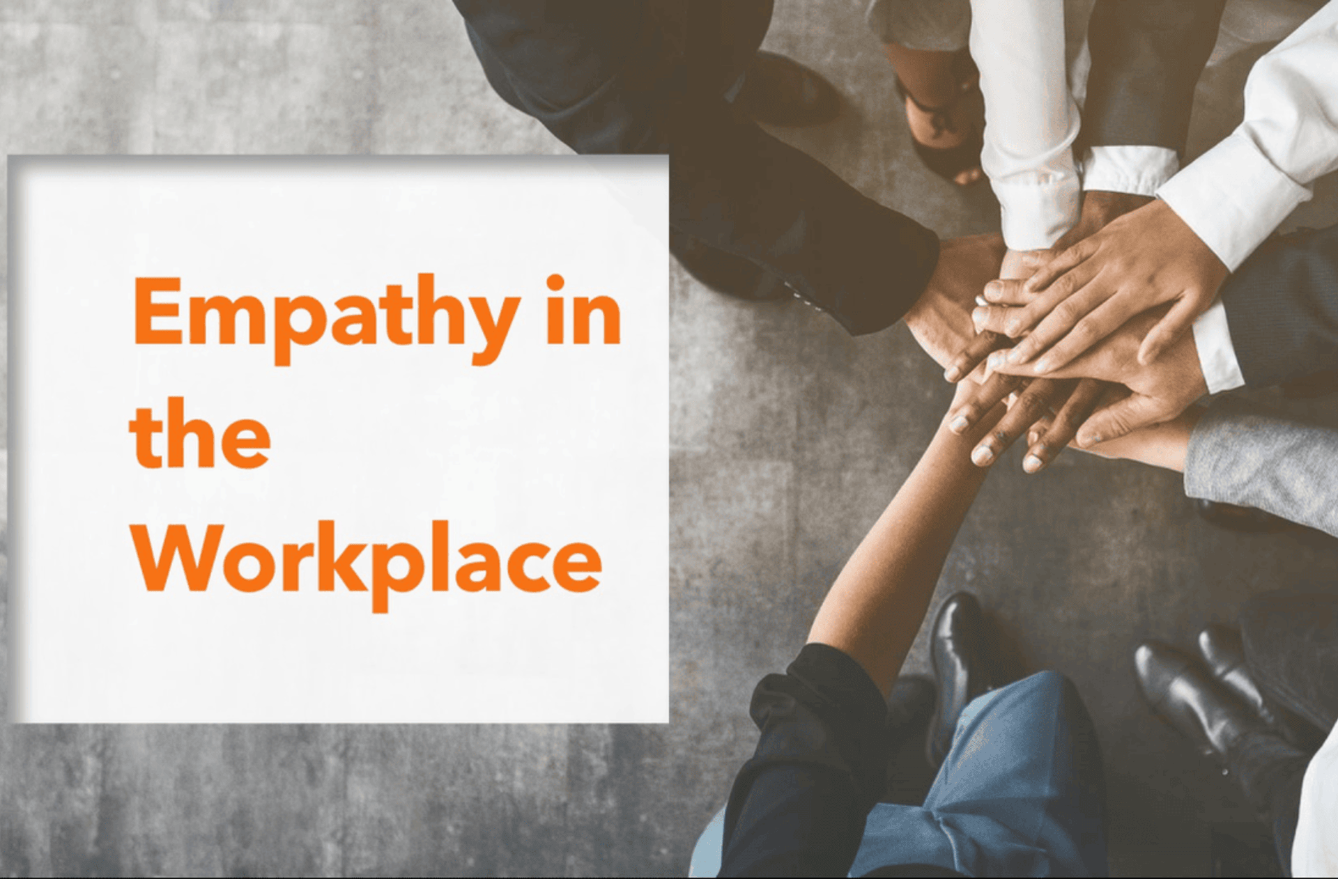 Empathy in Creating a Supportive Workforce: A Trait You Shouldn’t Ignore